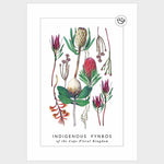 Load image into Gallery viewer, Illustration of various indigenous fynbos flowers on a white background