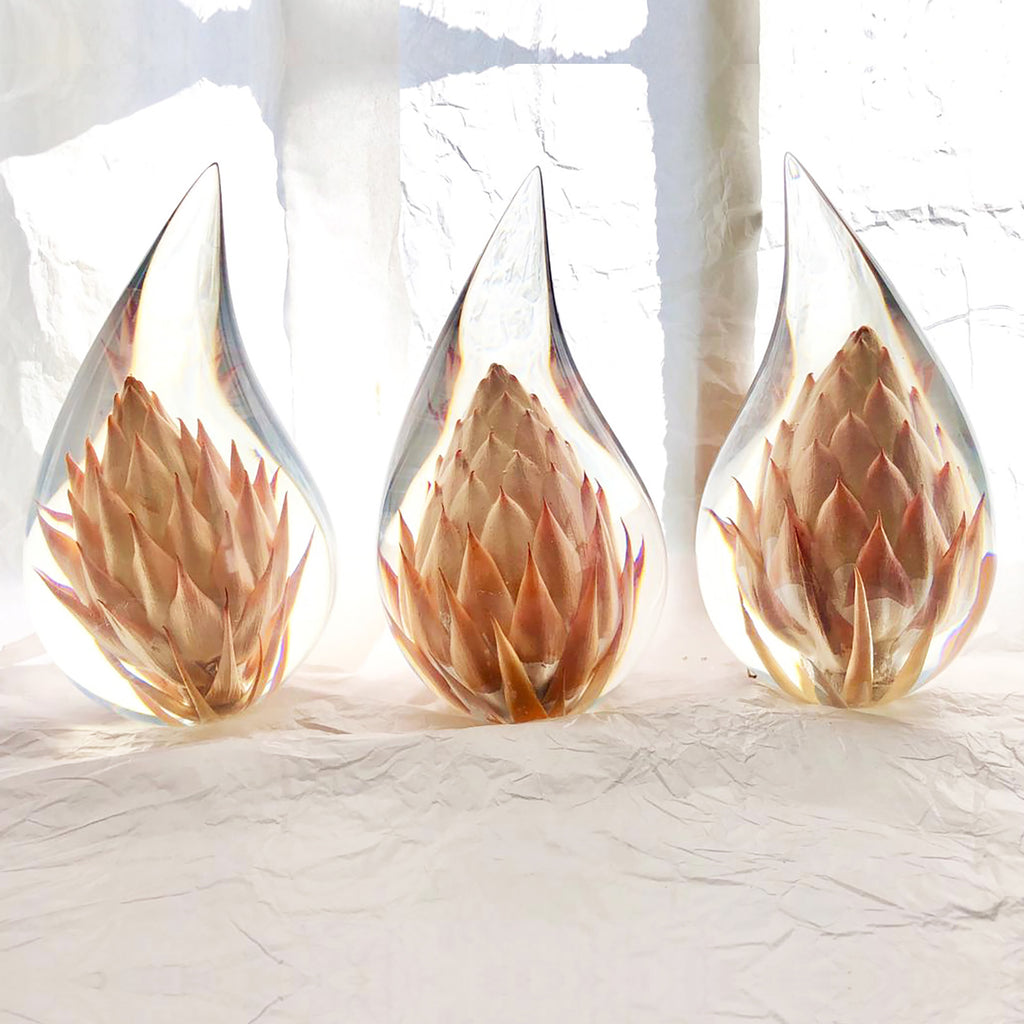 Three resin drops sculpted in a teardrop shape with King Protea buds embedded, positioned on a textured surface with a white background.