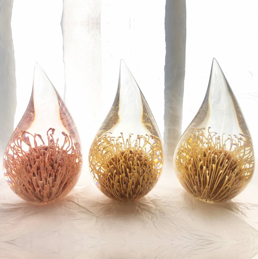 Three resin drops sculpted in a teardrop shape with Pincushion Protea plants embedded, positioned on a textured surface with a white background.
