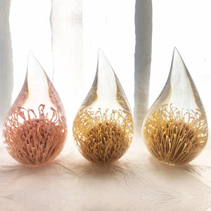 Three resin drops sculpted in a teardrop shape with Pincushion Protea plants embedded, positioned on a textured surface with a white background.