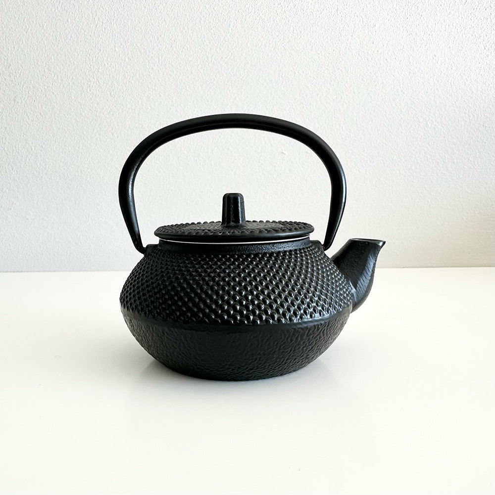 Cast iron teapot (300ml)