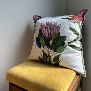 50x50cm cushion cover - White Protea Flora