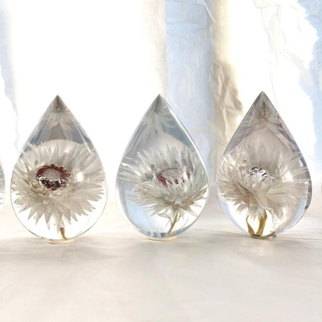 Three resin drops sculpted in a teardrop shape with white Cape Snow flowers embedded, positioned on a textured surface with a white background.