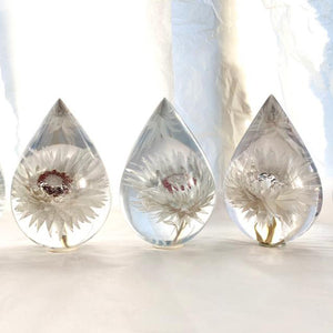 Three resin drops sculpted in a teardrop shape with white Cape Snow flowers embedded, positioned on a textured surface with a white background.