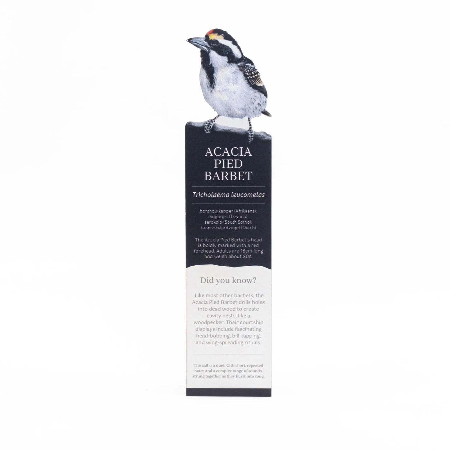 Bookmark with an illustration of an Acacia Pied Barbet and text on a white background
