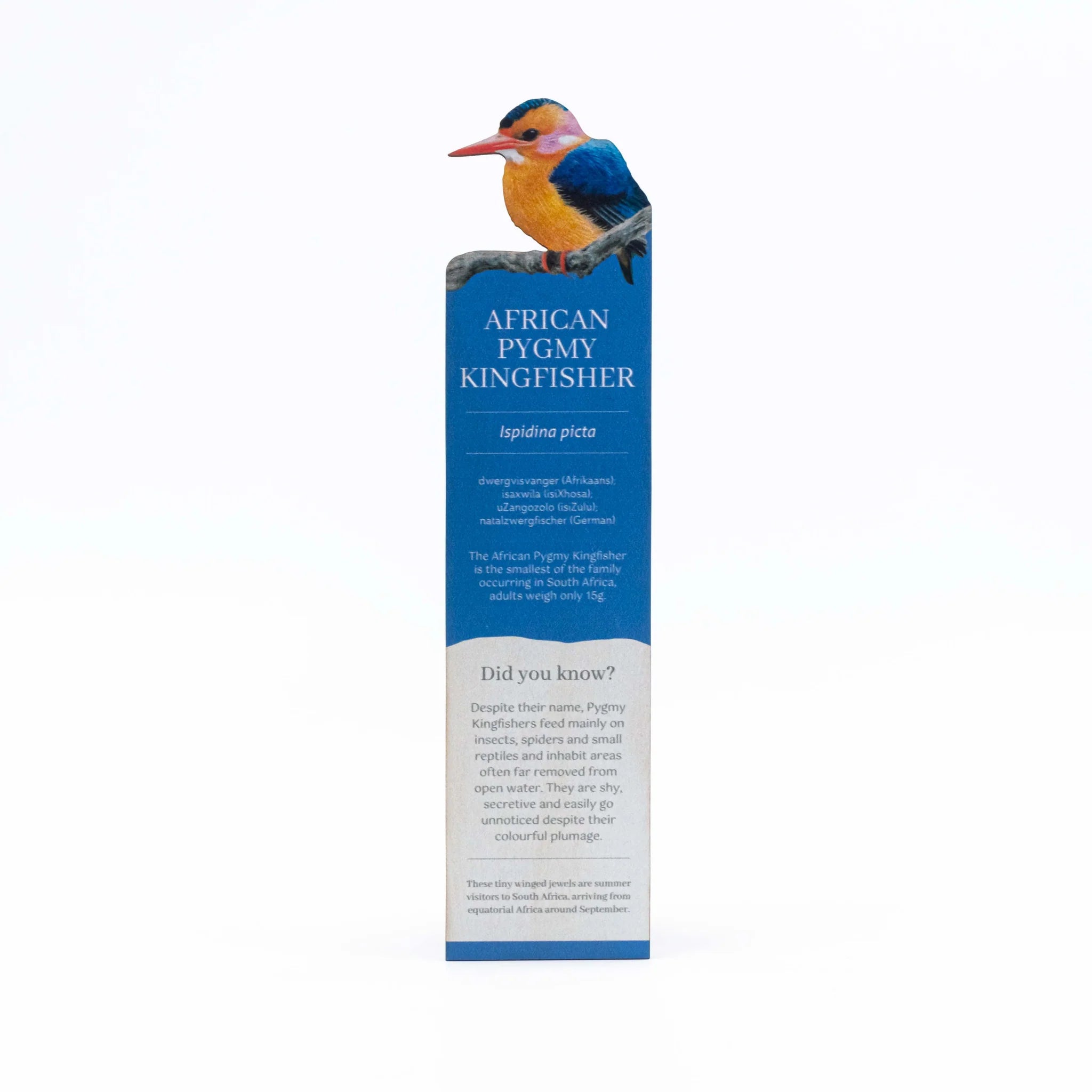 Bookmark with an illustration of an African Pygmy Kingfisher on a white background