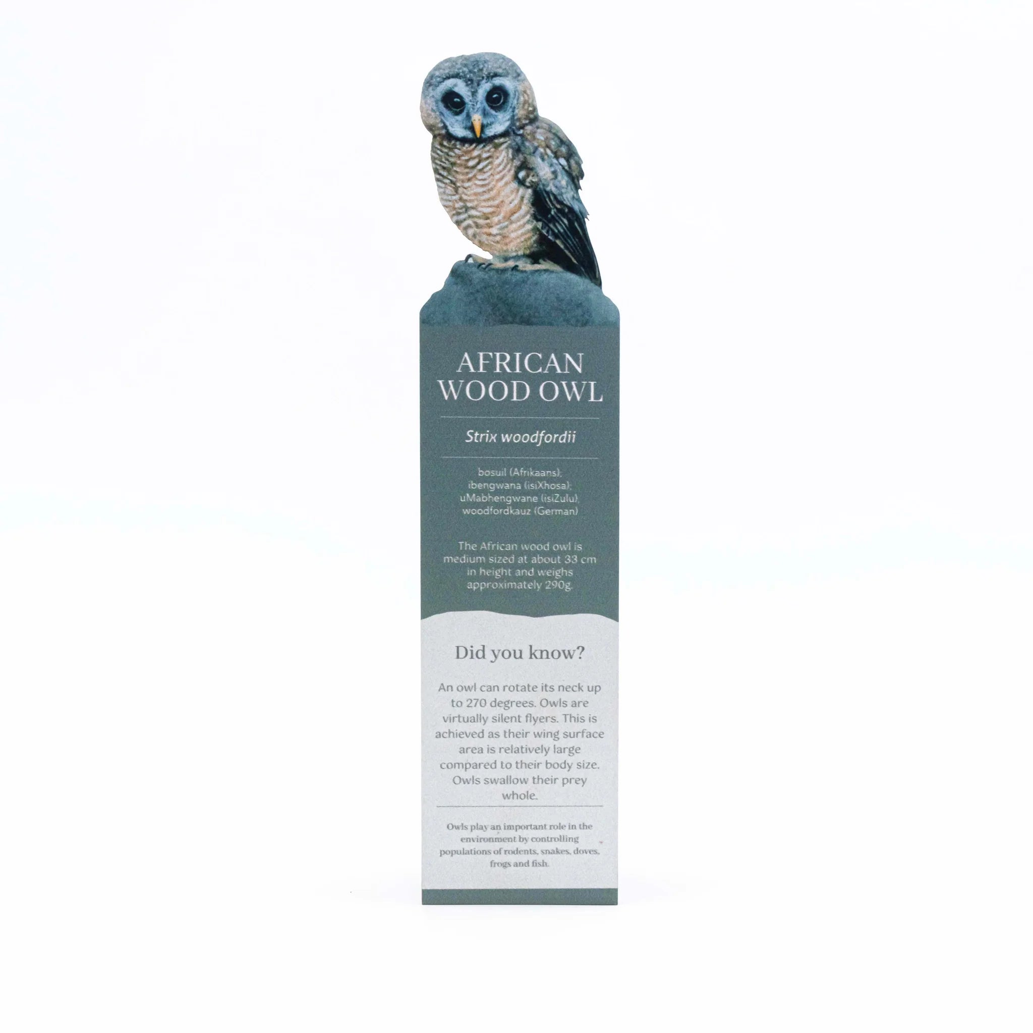 Bookmark with an illustration of an African Wood Owl on a white background