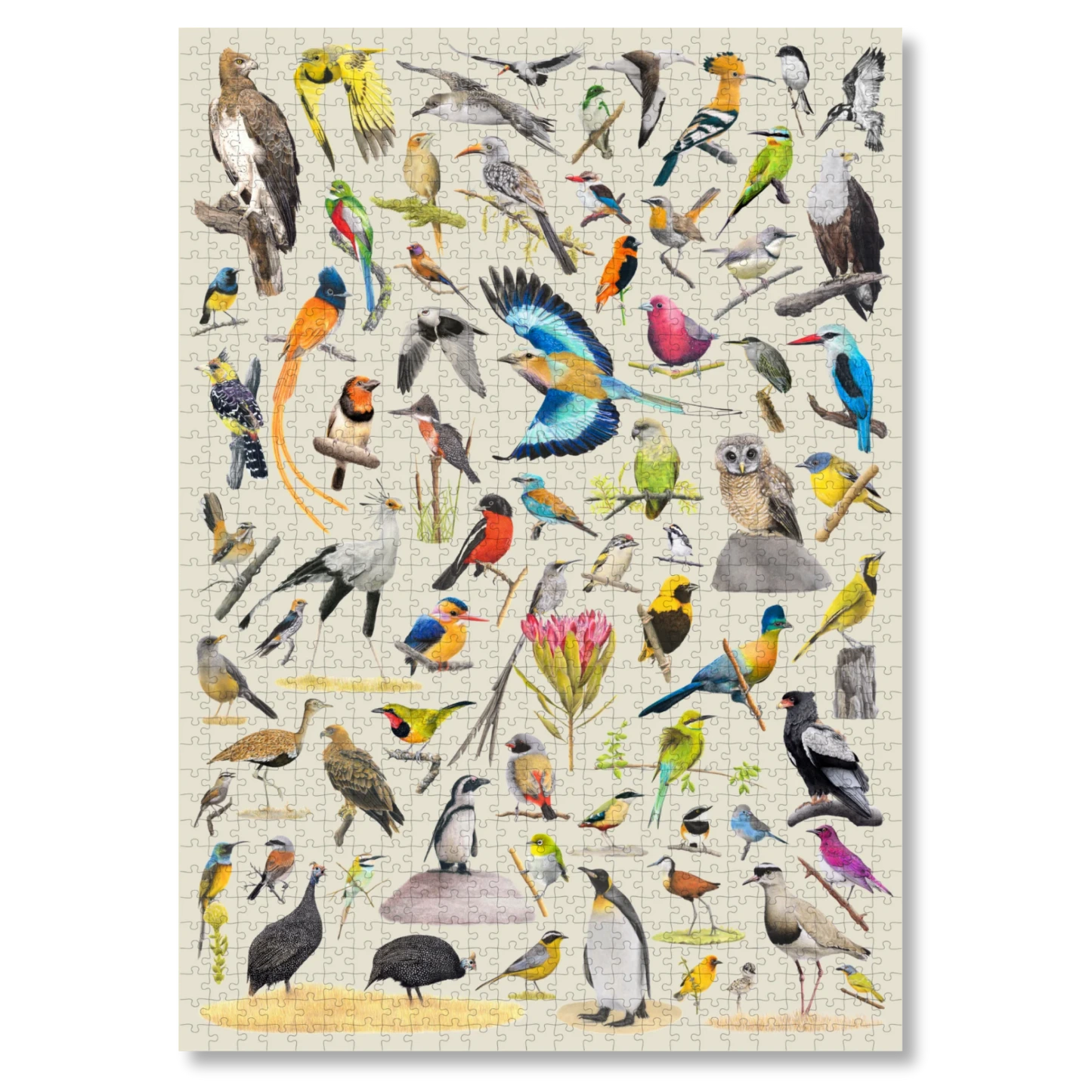 Jigsaw puzzle with various illustrated birds on a beige background