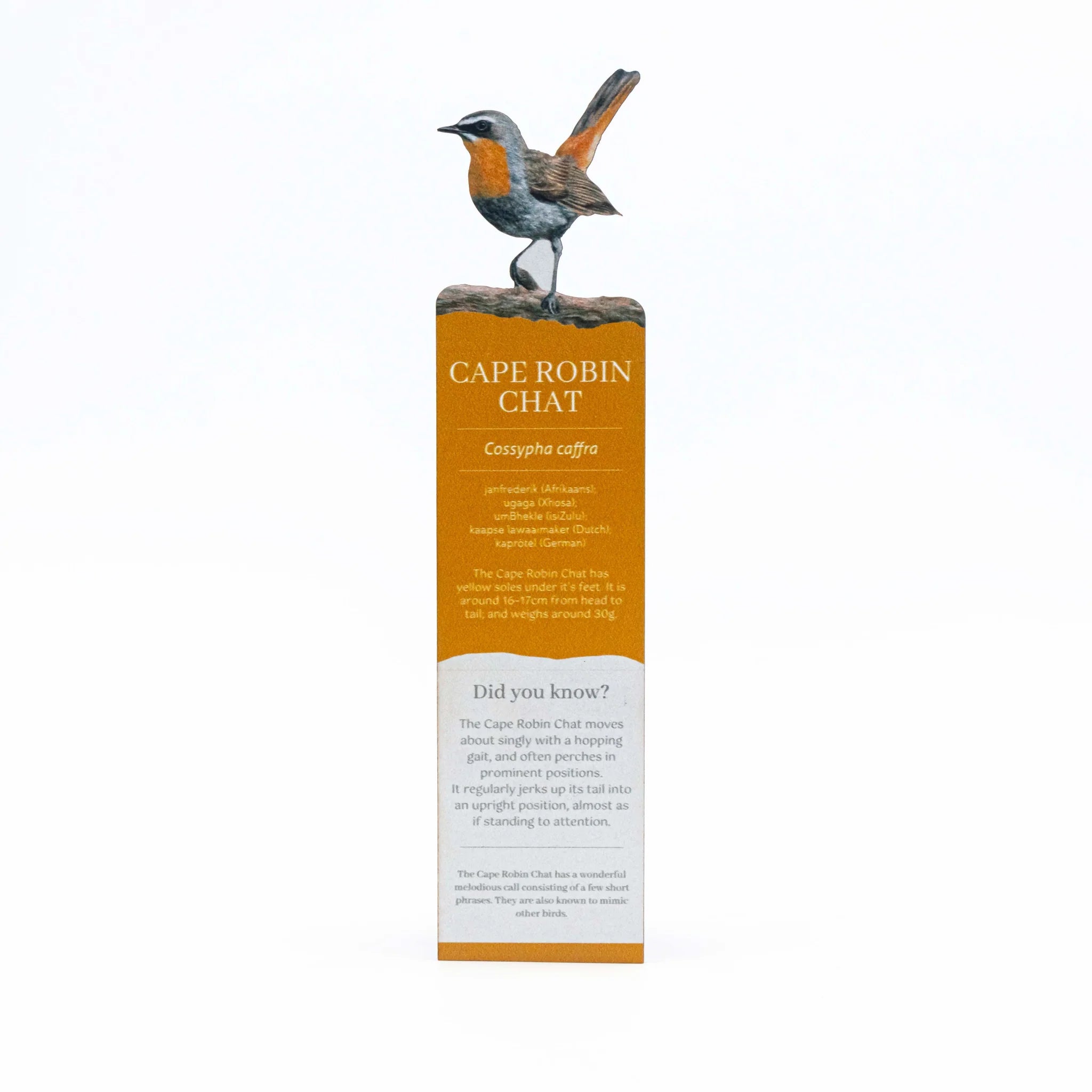 Illustration of a Cape Robin Chat bird on an bookmark with text.