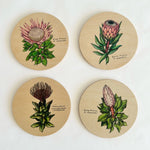 Load image into Gallery viewer, Four wooden coasters with botanical illustrations of flowers on a white background

