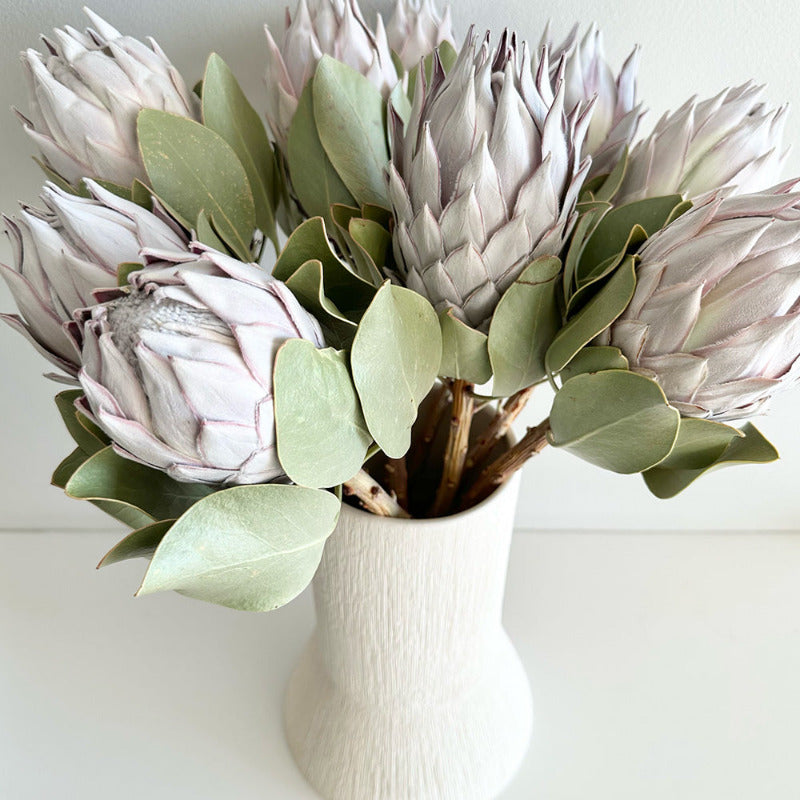 Bouquet of protea flowers in a white vase on a light background