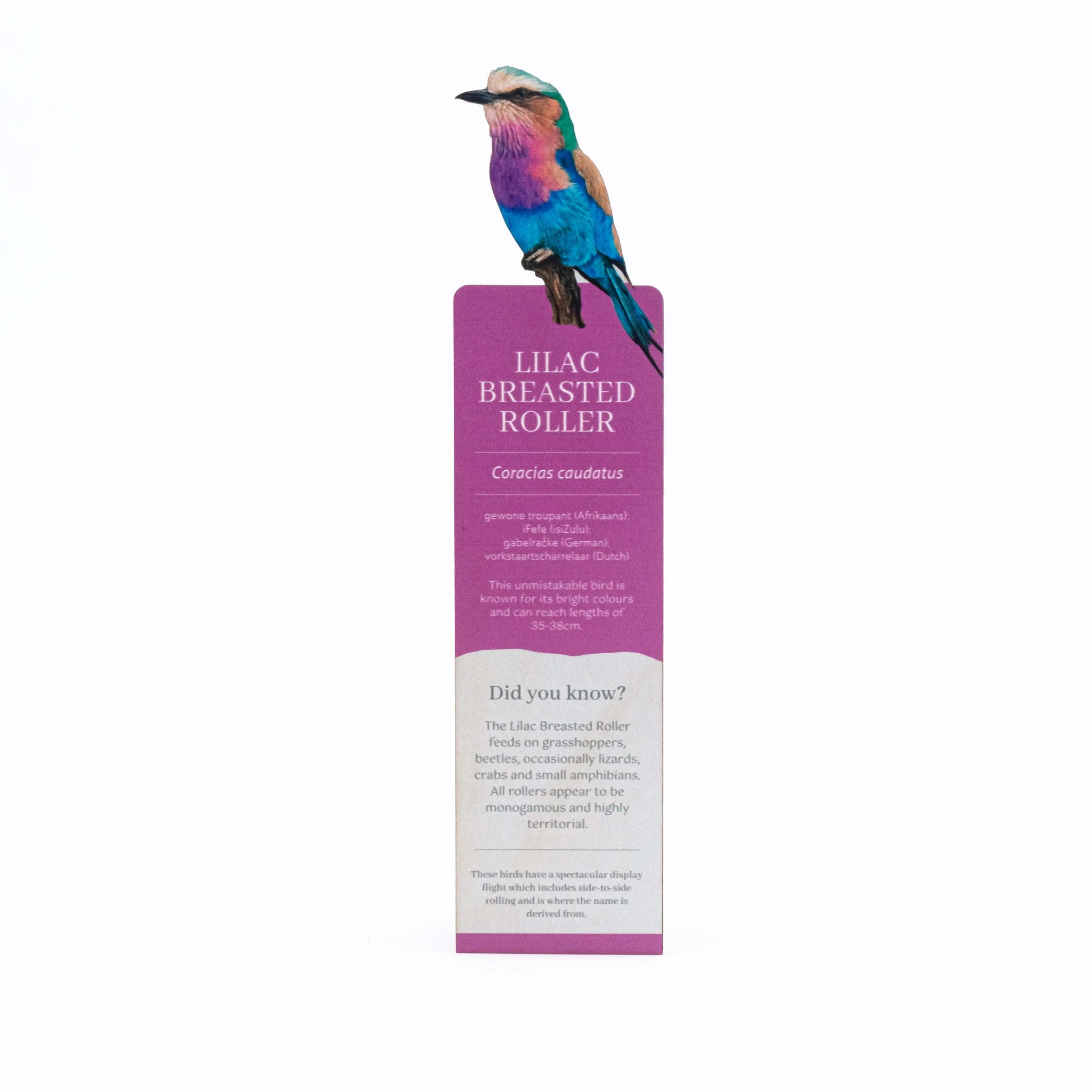 Bookmark with a lilac-breasted roller illustration on a purple background