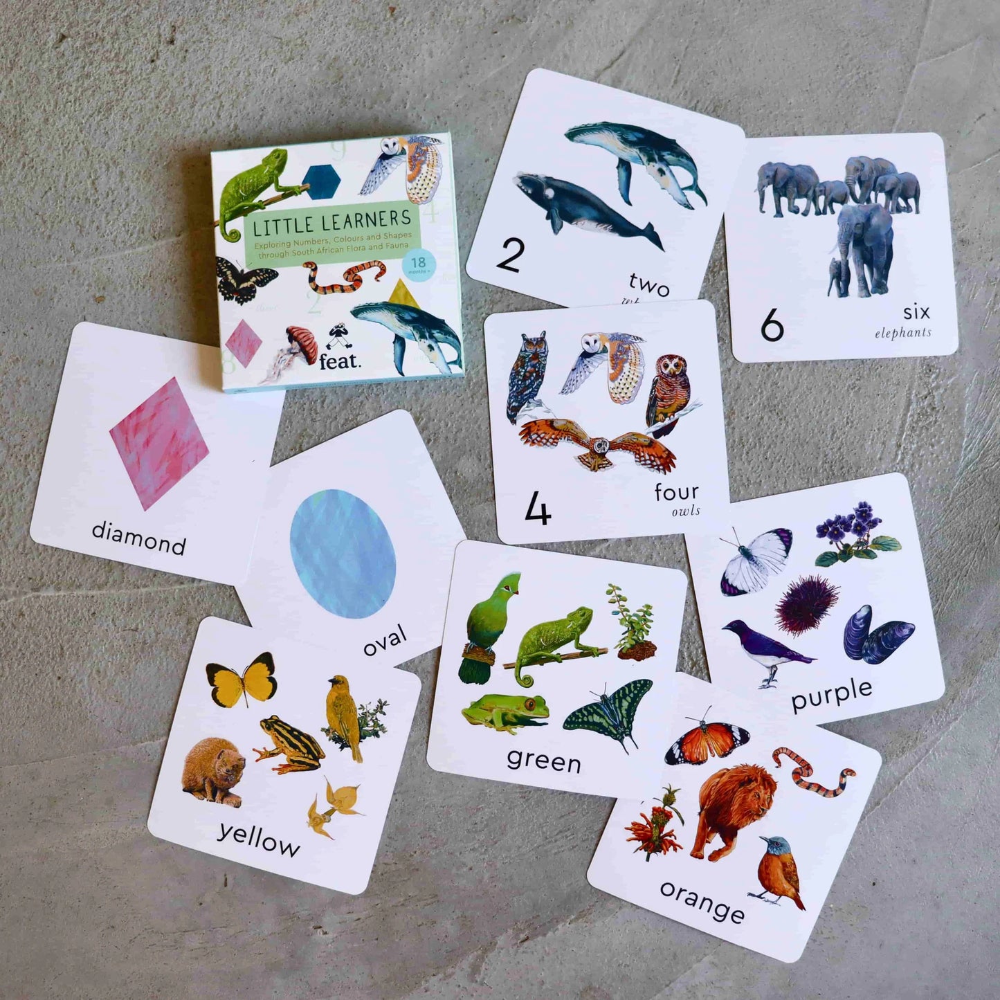 Educational cards for children with animals, numbers, and colors on a concrete surface
