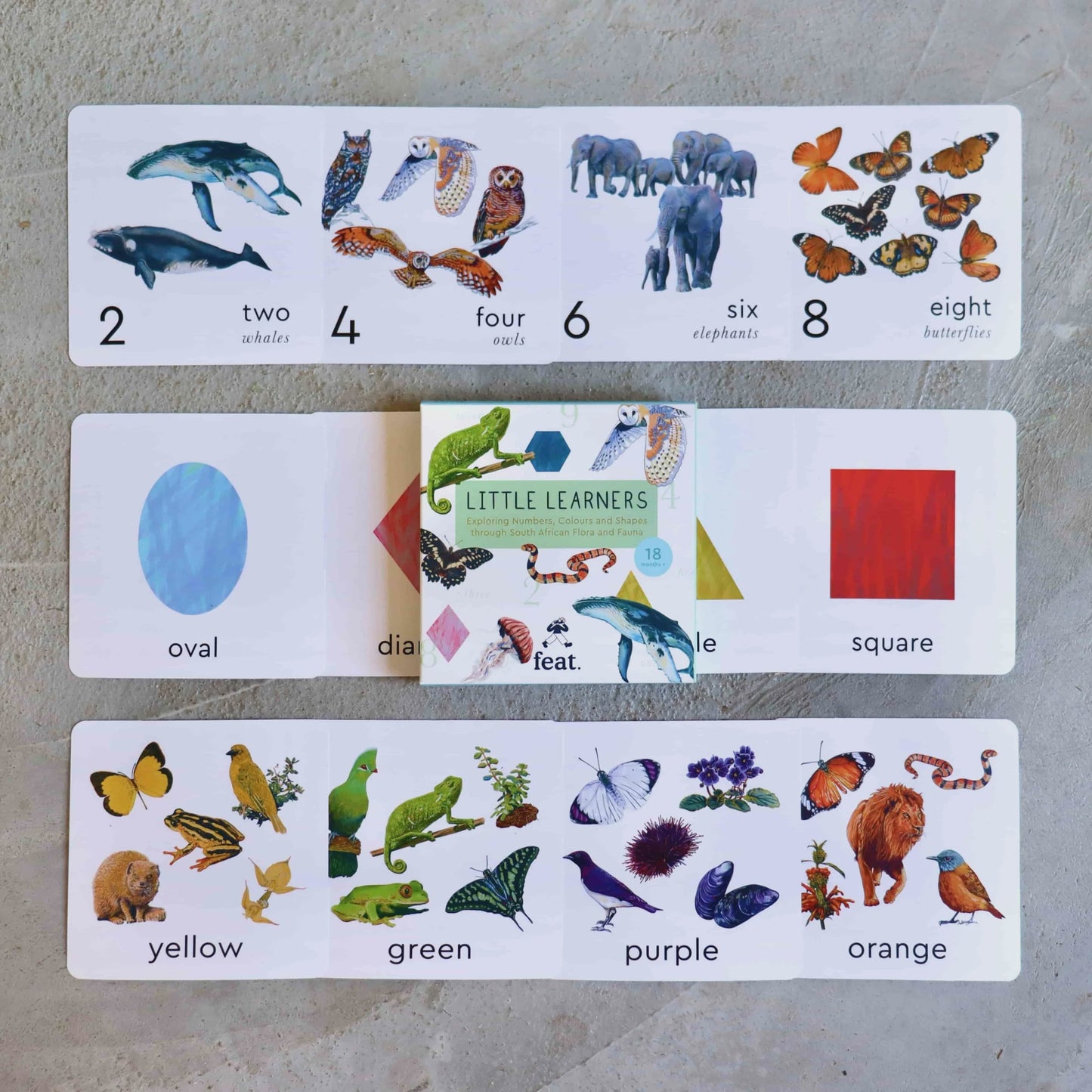 Educational flashcards with numbers, shapes, and animals on a gray surface