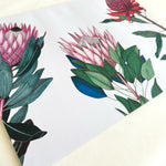 Load image into Gallery viewer, Floral design with pink and red protea on a white background
