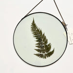 Load image into Gallery viewer, Glass botanical wall hanging - extra large round
