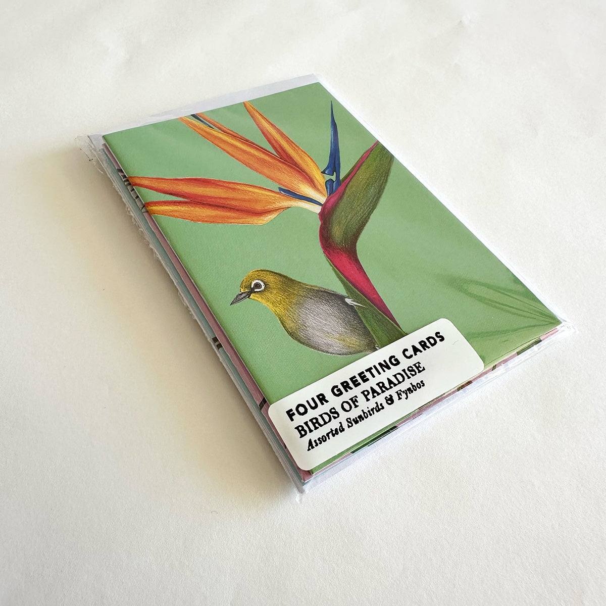 Pack of 4 greeting cards with bird and flower design on a white background