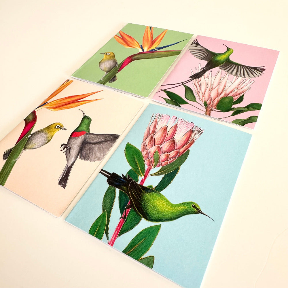 Set of four greeting cards with bird and flower designs on a white background