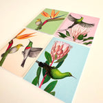 Load image into Gallery viewer, Set of four greeting cards with bird and flower designs on a white background

