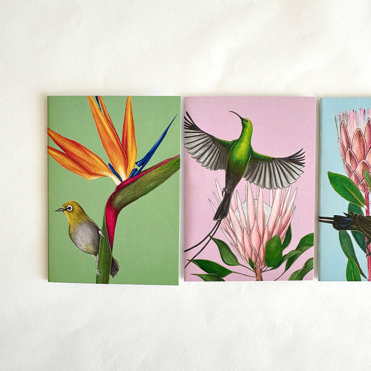 Set of three colorful cards featuring birds and plants on a white background