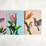 Load image into Gallery viewer, Set of three colorful cards featuring birds and plants on a white background
