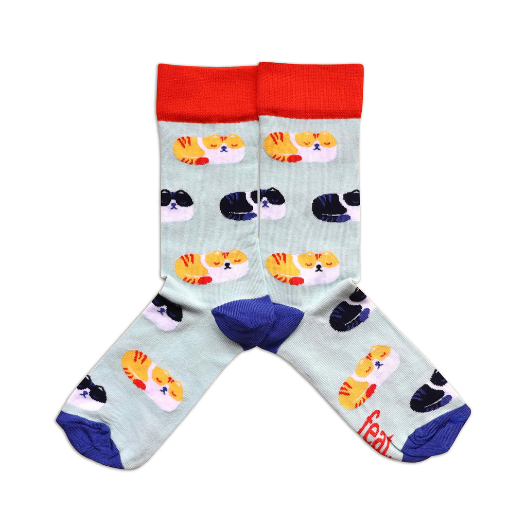 Pair of socks with cat pattern and red top on a white background