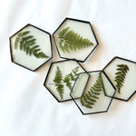 Load image into Gallery viewer, Glass botanical coasters
