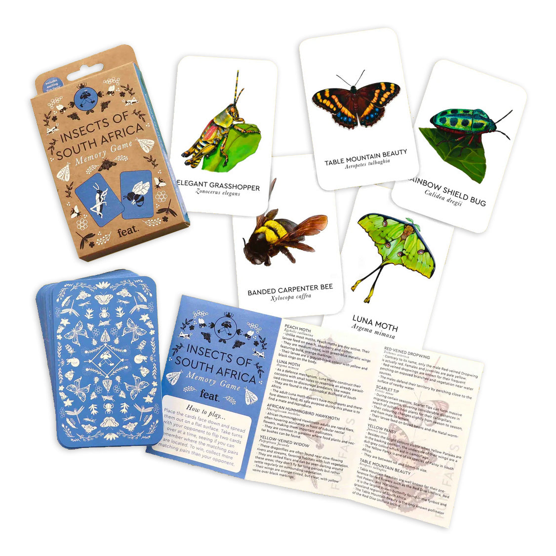 Flatlay of cards with insect illustrations as well as packaging of memory game with blue card backing. 