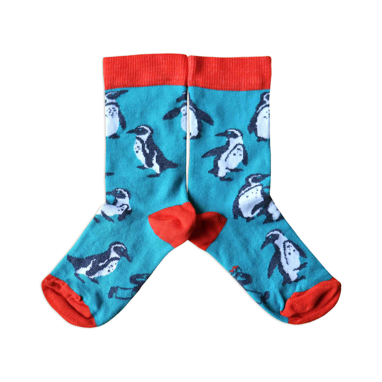 Turquoise and orange kids' socks with a pattern of African Penguins.