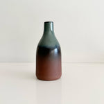 Load image into Gallery viewer, Gradient bottle-shaped vase on a white background
