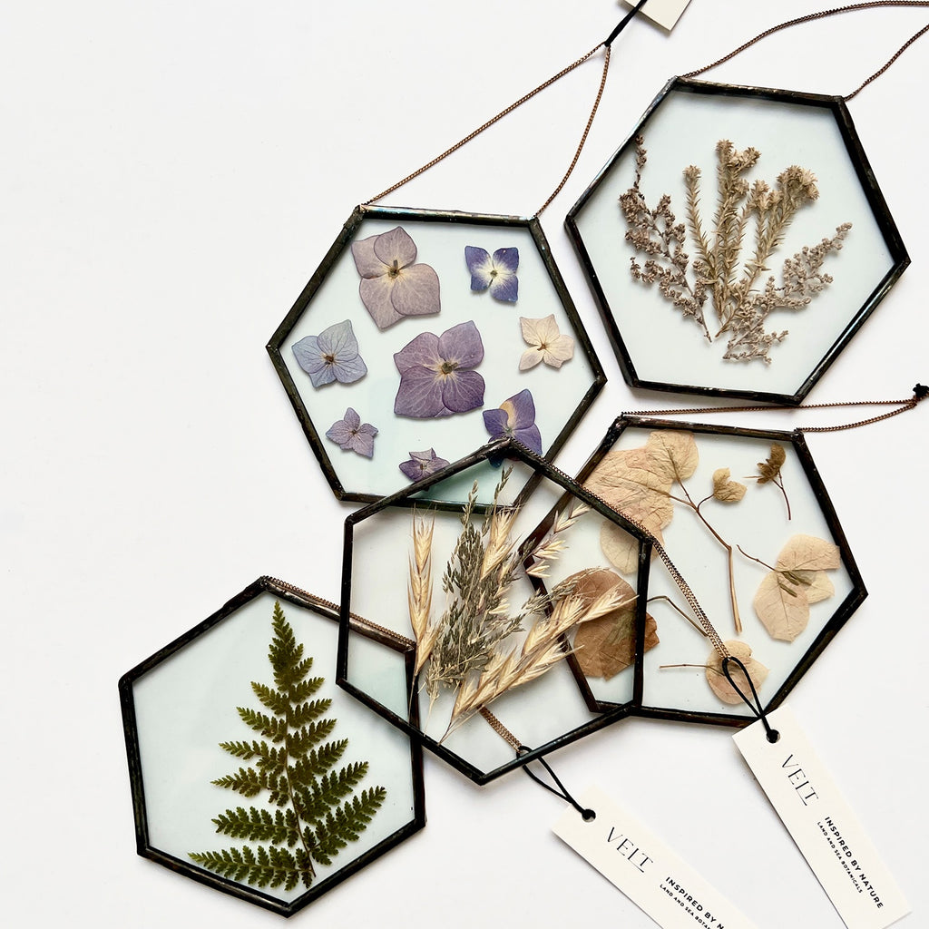 Hexagonal framed botanicals with dried flowers and leaves on a white background