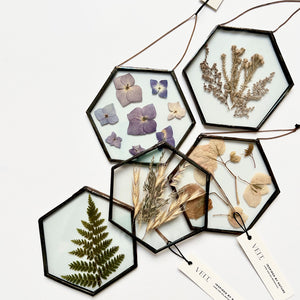 Hexagonal framed botanicals with dried flowers and leaves on a white background