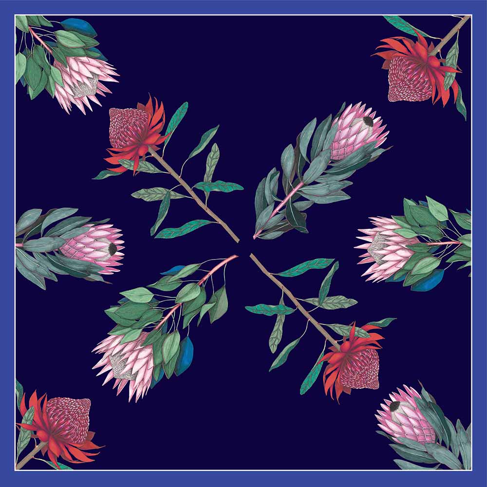 Illustration of various protea flowers on a navy background with a blue border