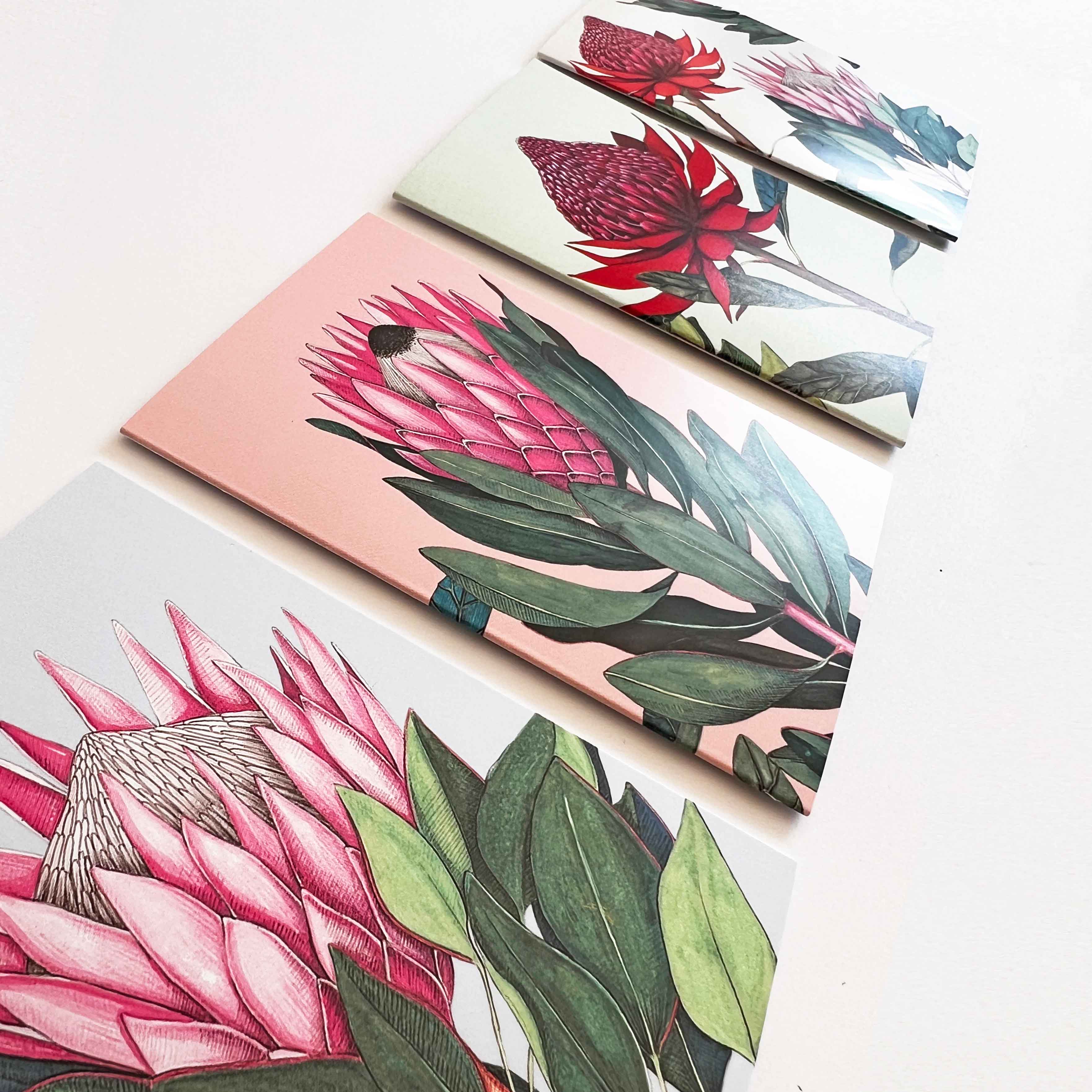 Greeting card set - Pastel Proteas