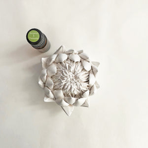 A bisquewear ceramic protea sculpture alongside a frangrance oil bottle on a white background.
