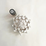 Load image into Gallery viewer, A bisquewear ceramic protea sculpture alongside a frangrance oil bottle on a white background.
