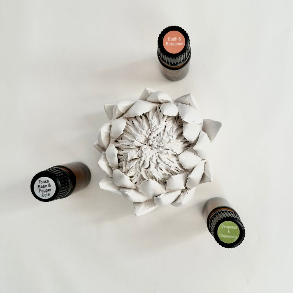 A bisqueware porcelain protea diffuser displayed alongside three small bottles of fragrance oils. The diffuser is white and has a porous, flower-like design.
