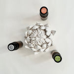 Load image into Gallery viewer, A bisqueware porcelain protea diffuser displayed alongside three small bottles of fragrance oils. The diffuser is white and has a porous, flower-like design.
