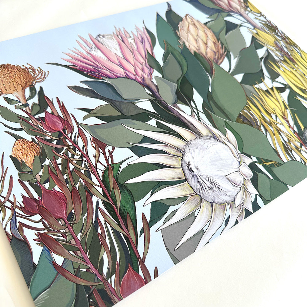 Floral design with protea flowers and leaves on a blue background