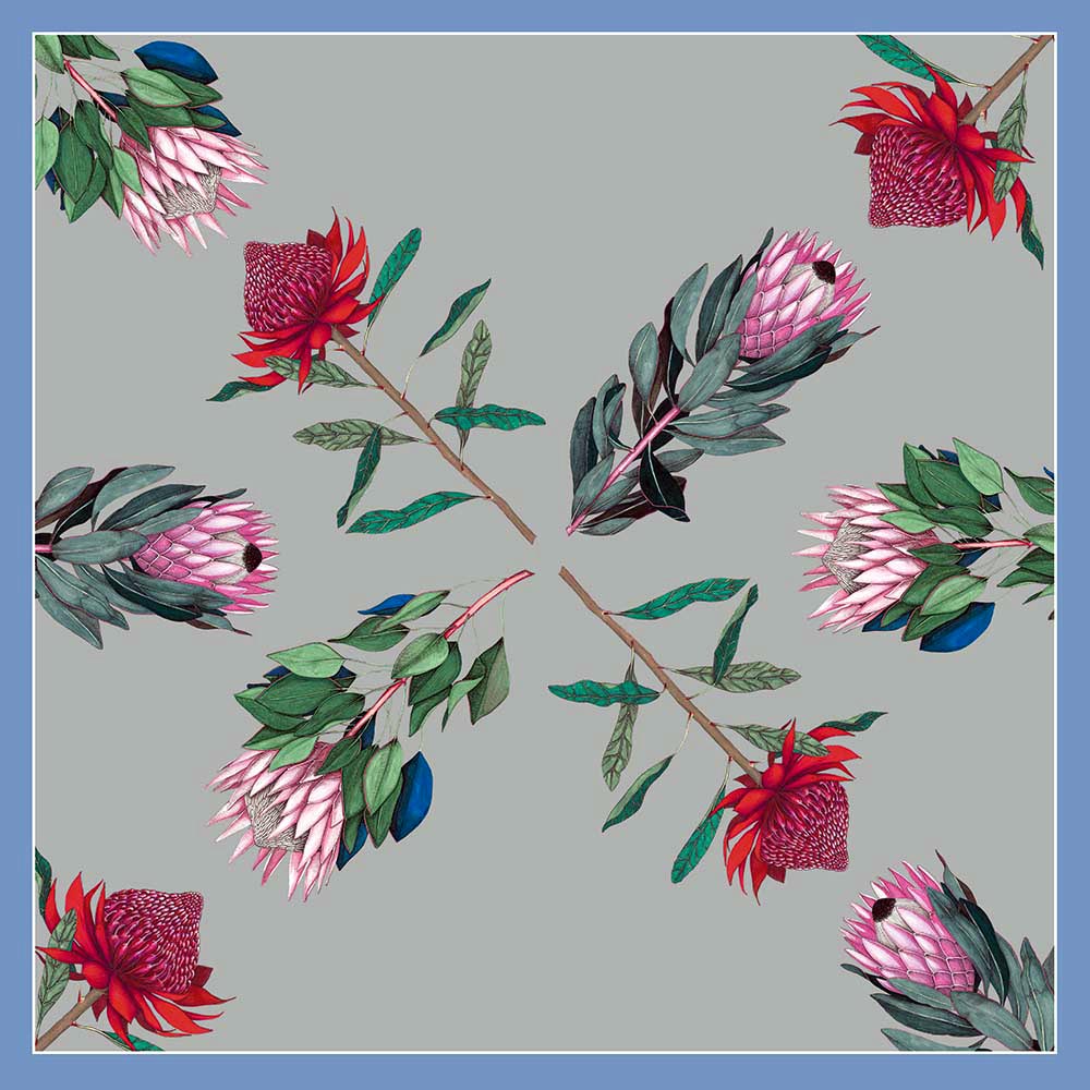 Illustration of various protea flowers on a silver background with a blue border