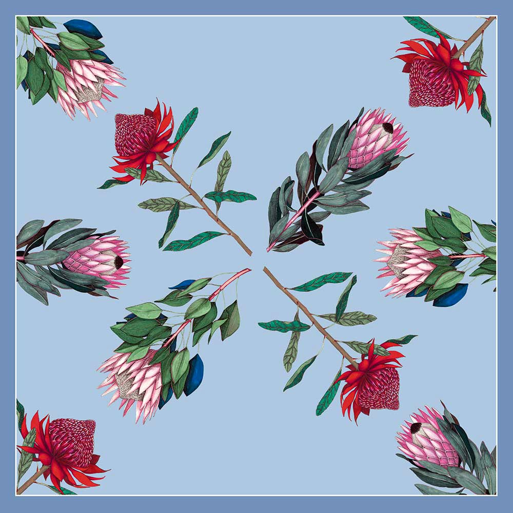 Illustration of various protea flowers on a light blue background with a blue border