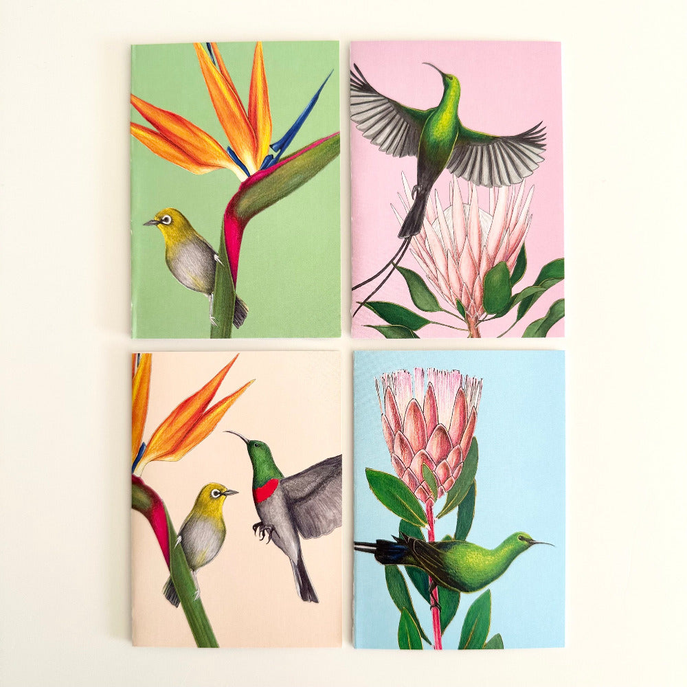 Four colorful cards with bird and flower designs on a white background