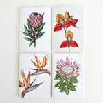 Load image into Gallery viewer, Four botanical cards of different flowers on a white background
