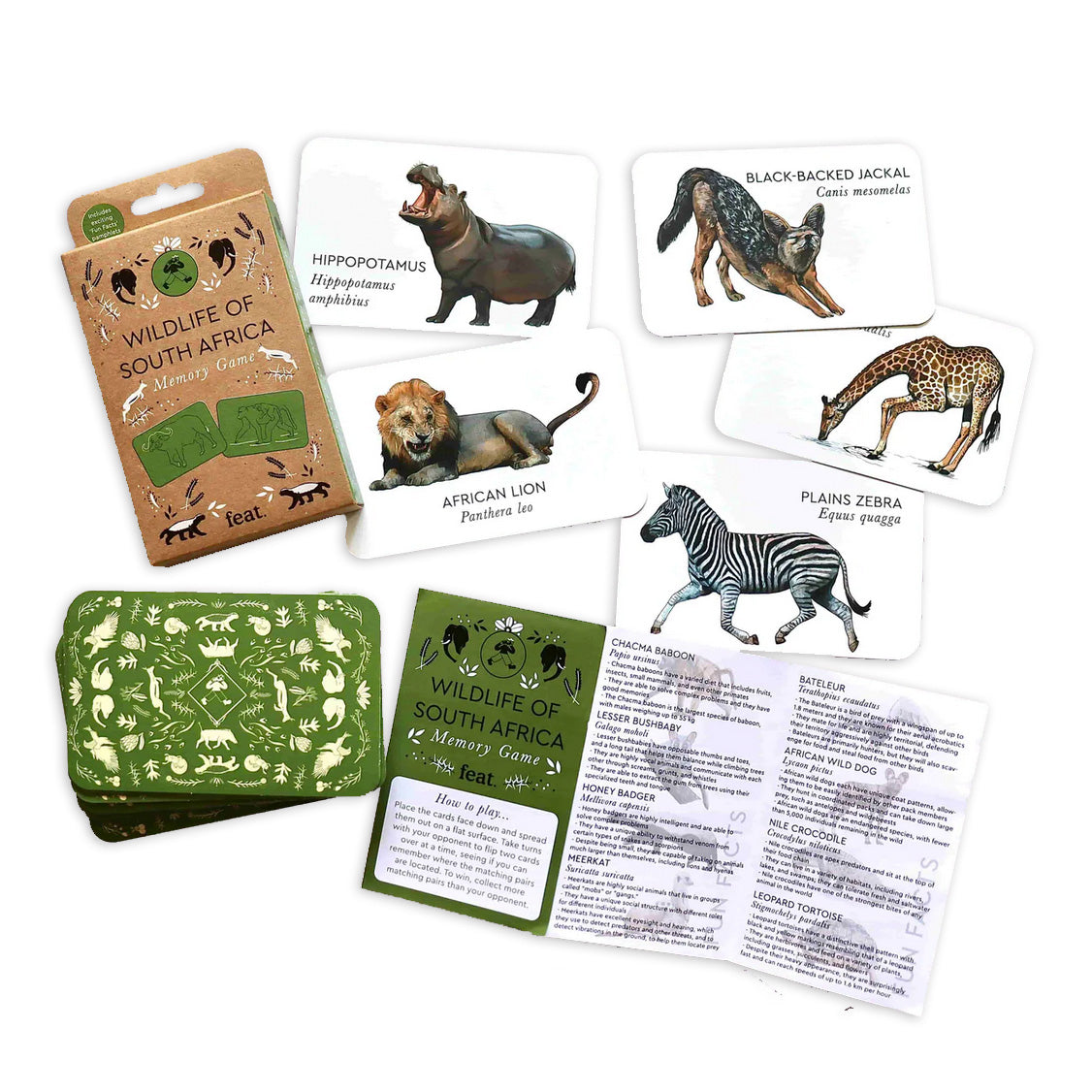 Flatlay of cards with wildlife illustrations as well as packaging of memory game with green card backing. 