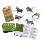 Load image into Gallery viewer, Flatlay of cards with wildlife illustrations as well as packaging of memory game with green card backing. 
