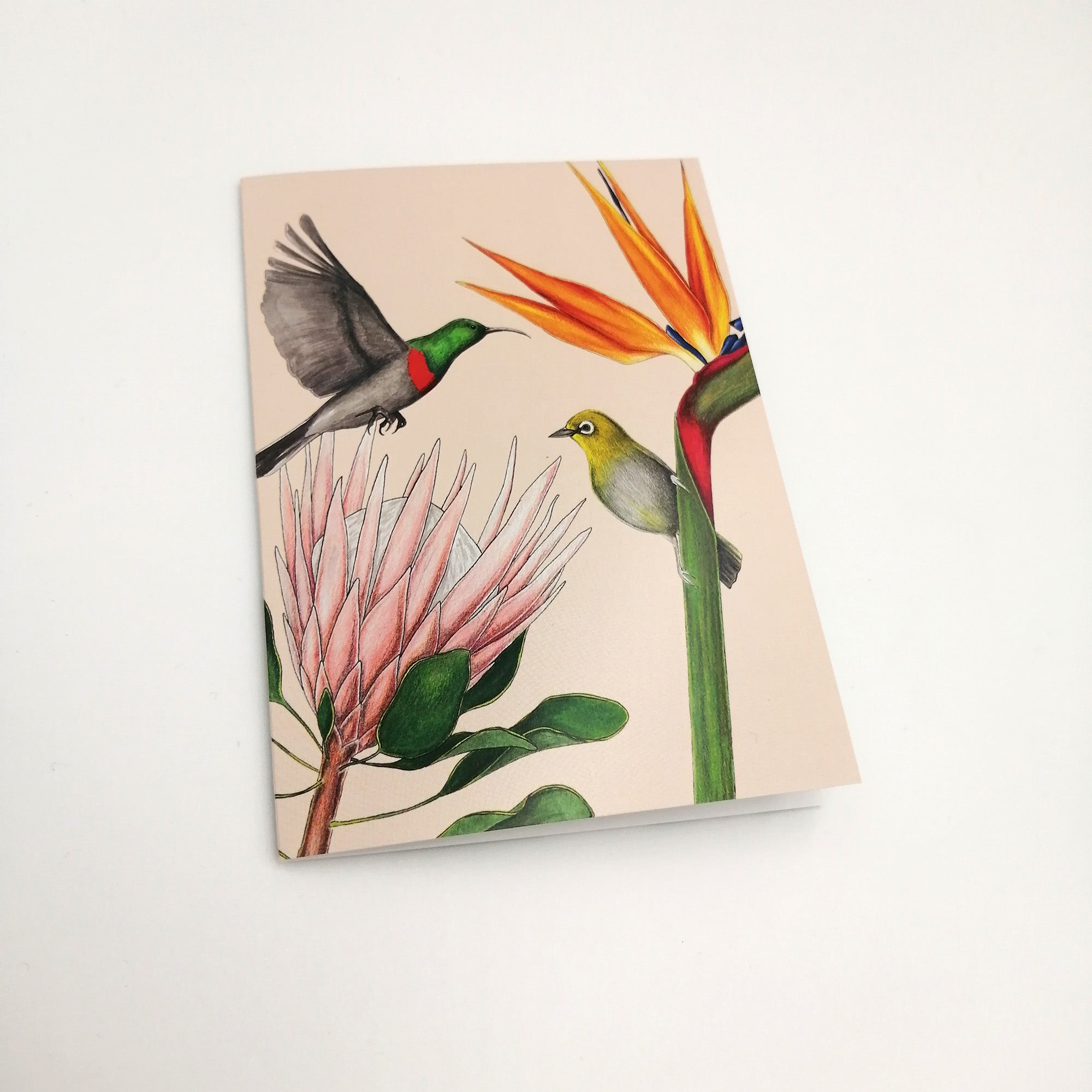 A6 greeting card - Birds of Paradise