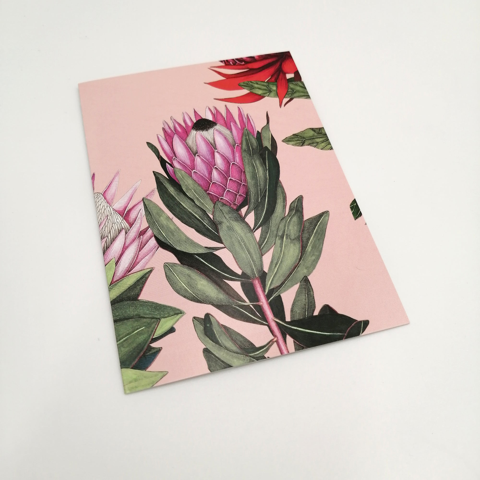 A6 greeting card - Pastel Queen Protea