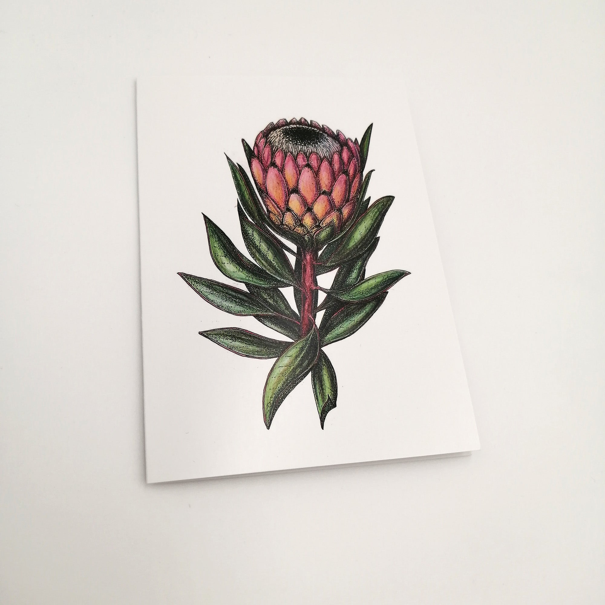 A6 greeting card - Queen Protea