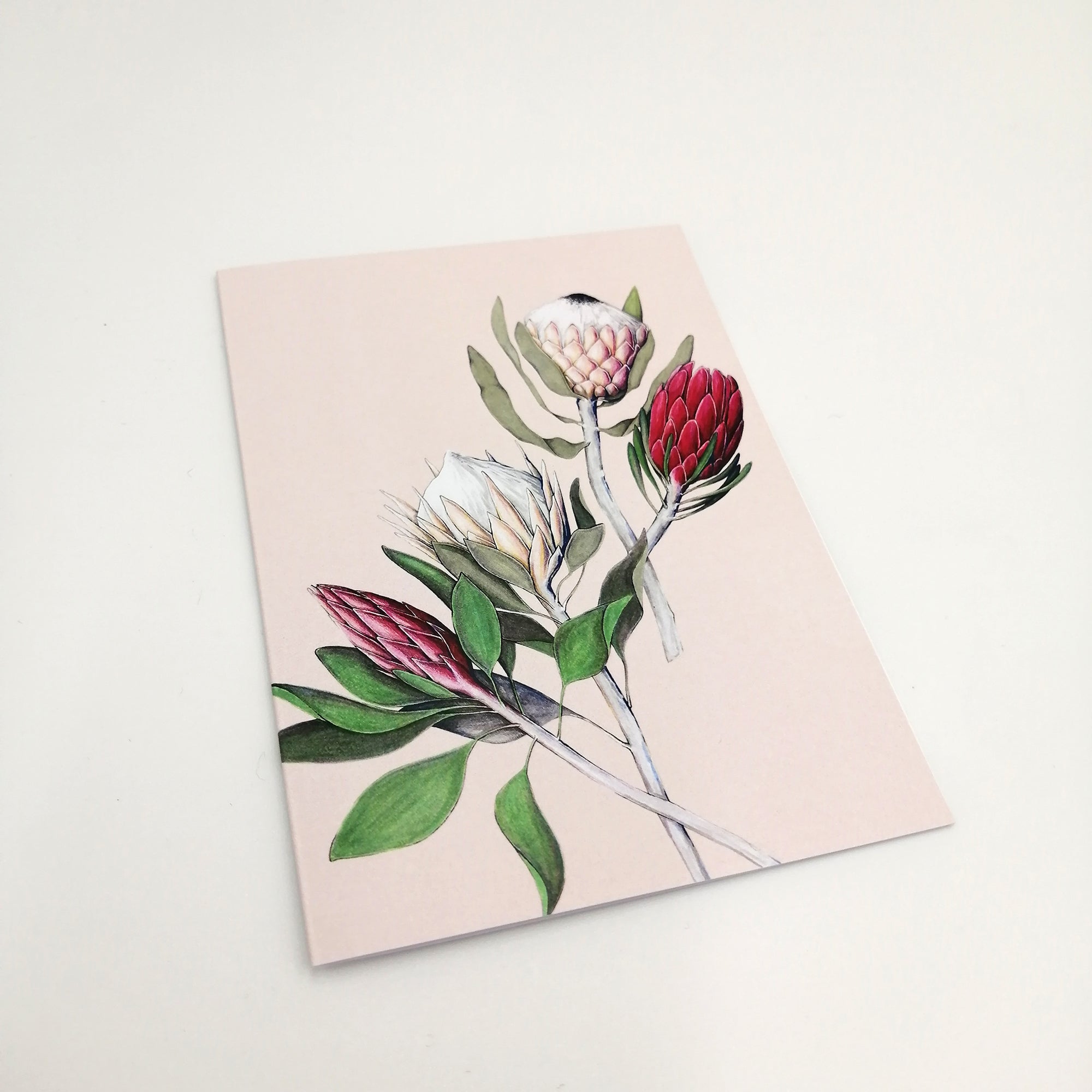 A6 greeting card - Royal Protea