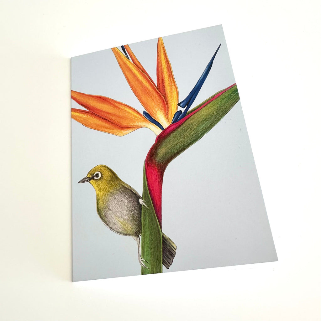 A6 greeting card with a bird and strelitzia flower illustration on a sky blue background